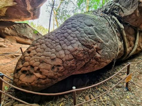 cave in thailand that looks like a snake|Thailand